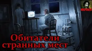 Обитатели странных мест. Страшные истории на ночь. Страшилки на ночь
