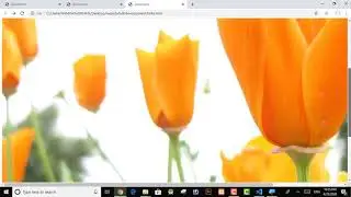 Links Controls in HTML | by Namra Saeed | Website Development Tutorials