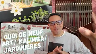QUOI DE NEUF? JARDINIÈRES - KALIMBA - ART JOURNAL 🤗🌸