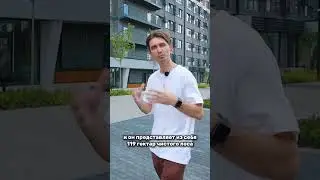 Еноты, Цапли и Лисы в центре Краснодара?! #краснодар #недвижимость #квартира