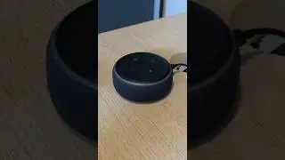 Minhas caixas ALEXA 