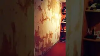 🔥💯👍