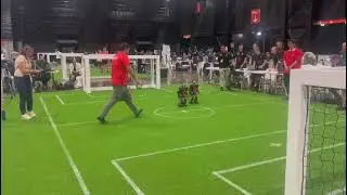 Robot Footballer