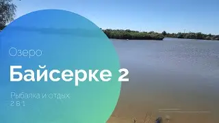 🌊 
