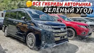 ВСЕ ГИБРИДЫ АВТОРЫНКА ЗЕЛЁНЫЙ УГОЛ✅ + ПРОСЧЁТ Этих же автомобилей из Японии🇯🇵 Август 2022
