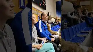 Ты постоянно подозреваешь, что волк где-то рядом 🤣 