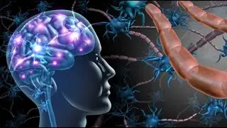 Advances in Stem Cell Therapy for Optic Nerve Atrophy