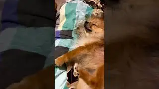 Не для работы создан я 