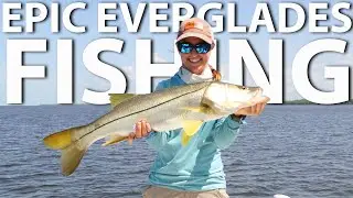This Fishing Trip Was INSANE: SNOOK, TARPON, GOLIATH GROUPER in the EVERGLADES