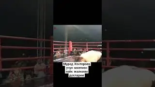 Мурад Хонтораев учун миллион лайк жалками досларим #murod #mma #mmanews #rek