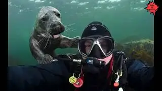 FUNNY PHOTOBOMBS