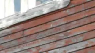 Чистосердечное признание (18+).mov