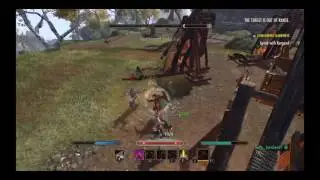 ESO outnumbered PvP