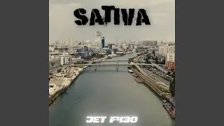 Sativa