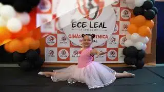 ABERTURA