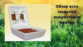 Инкубатор Квочка/ Інкубатор Квочка всі моделі