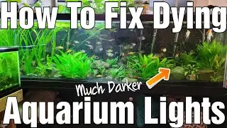 Fix A Dying LED Aquarium Light