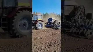 посевная
