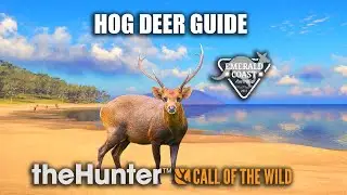 Hog Deer Guide - Emerald Coast Australia - theHunter Call Of The Wild
