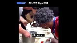 우유 짜는 스피드