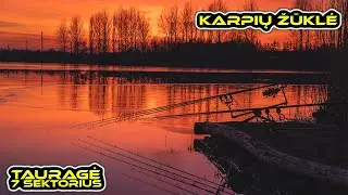 Karpių žvejyba. Tauragė - 7 sektorius (Kovo vidurys). (Carp Fishing @ Taurage)