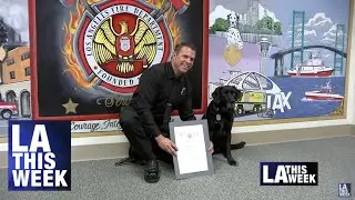 Los Angeles Fire Department Canines Retire