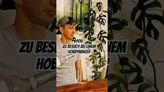 POV: Zu Besuch bei einem Hobbywinzer