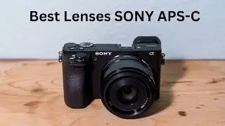 Best Budget Sony APS-C Lenses