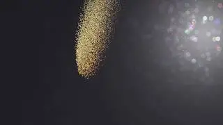 Logo Dissolve