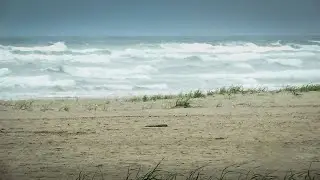 Ocean to Table: The Craft of Harvesting Sea Salt
