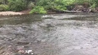 Не проходимый порог для fuso jet, усть р.Веснина, а ведь воды ещё меньше!