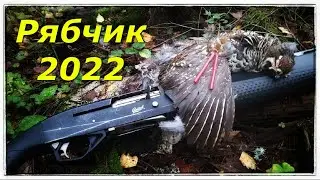 Охота на рябчика с манком 2022!