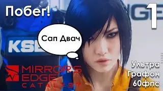 Mirror's Edge Catalyst Прохождение на русском Часть 1 Побег (ПК версия БЕТА НА УЛЬТРА ГРАФИКЕ)