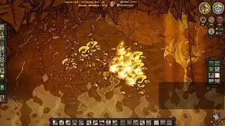 Quase minhas nettles se foram por um unico detalhe - Um noob no Hamlet T4 Ep 27 - Dont Starve Hamlet