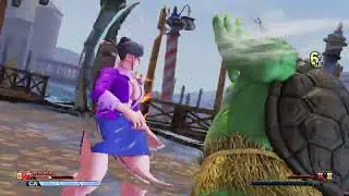 Chun LI vs E Honda Street Fighter V PC Mods