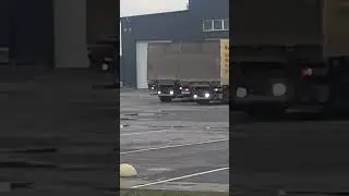 оно ещё и говорит 😂😂😂 #shorts