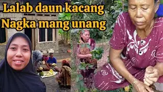 ikuti enek yu di sore hari sapai paginya lagi