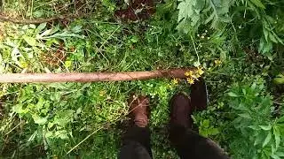 How to shoot a movie in the best scene