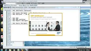 Bex Query Designer Part 1
