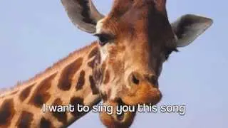 the mrbrown show: the giraffe song