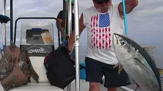 Yellowfin Tuna Kelp Patty Light Line Bloody Boat The Reel Brother Presents