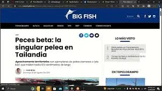 Taxonomía Betta y datos curiosos