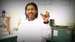 Enzymes For Food Application, By Dr. Khairul Faizal