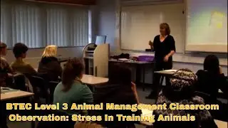 BTEC Level 3 Animal Management Classroom Observation: Stress In Training Animals