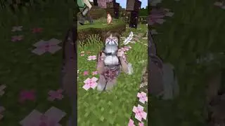 мы в маине