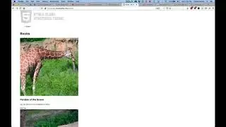 Wordpress: Archive Loops