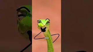 The cunning Pendulum Tit