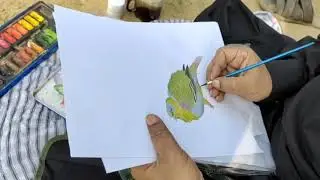 #paintings #pakistan #birdofSindh #Greenpigen #artistofPakistanAbbasKhaskheli.