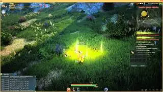 Black Desert Online ЗБТ1: Лучница 15 лвл небольшой гринд №1