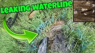 Her Yard Was FLOODED! Let's Repair This Waterline